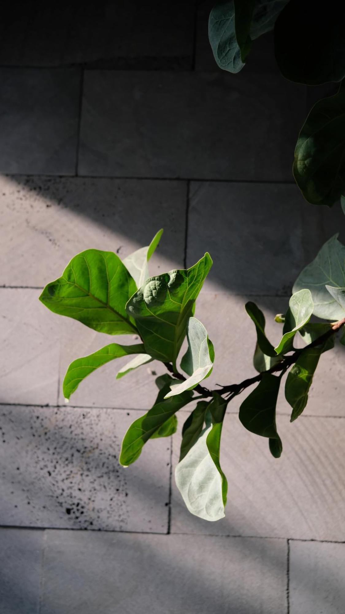 Marilyn Boutique Hotel Nha Trang Zewnętrze zdjęcie